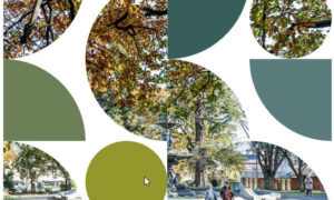 Response to Future of Local Government Review 1