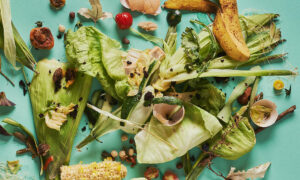 Organics Recyclers Demand Less Contamination 14