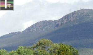 Help Clean Up kunanyi / Mount Wellington 13