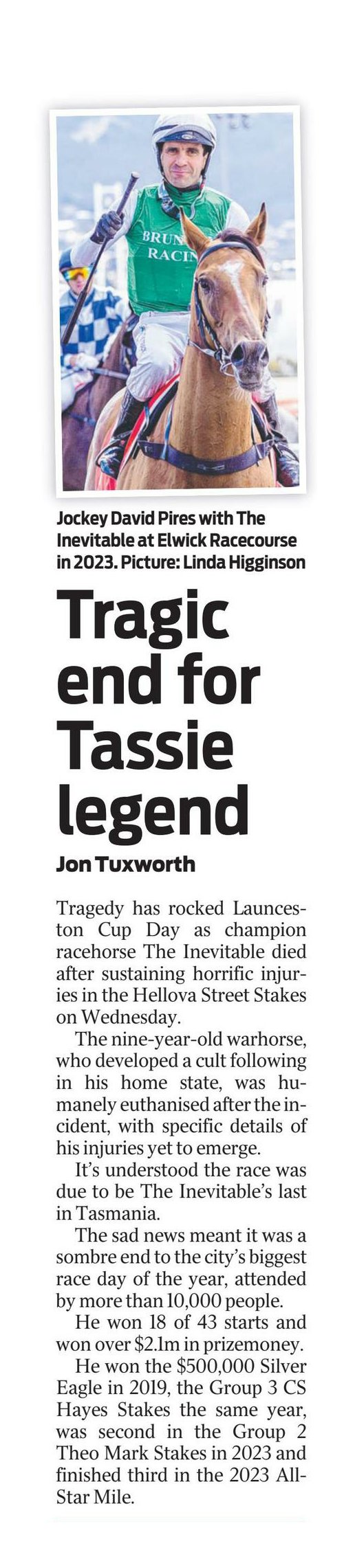 Another - Inevitable - Racehorse Death at Launceston Cup 4 Another - Inevitable - Racehorse Death at Launceston Cup 4