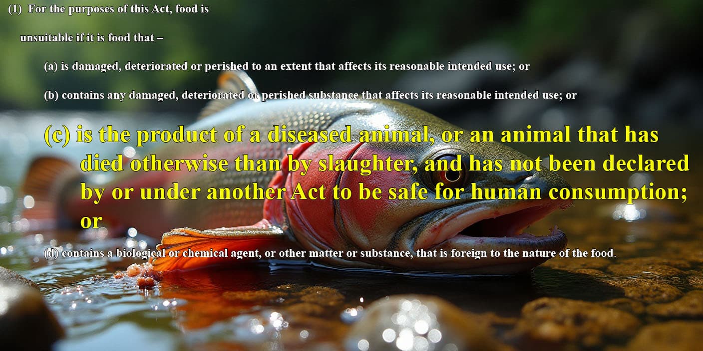 Selling Diseased Food [Salmon] is Illegal 3