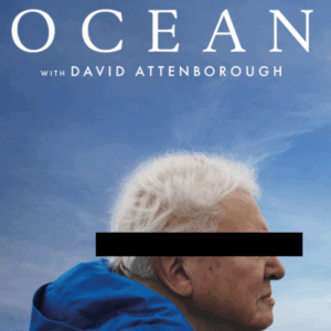 Fake ‘Sir David’ Attempts to Scam Local Enviro Group 3 Fake ‘Sir David’ Attempts to Scam Local Enviro Group 3