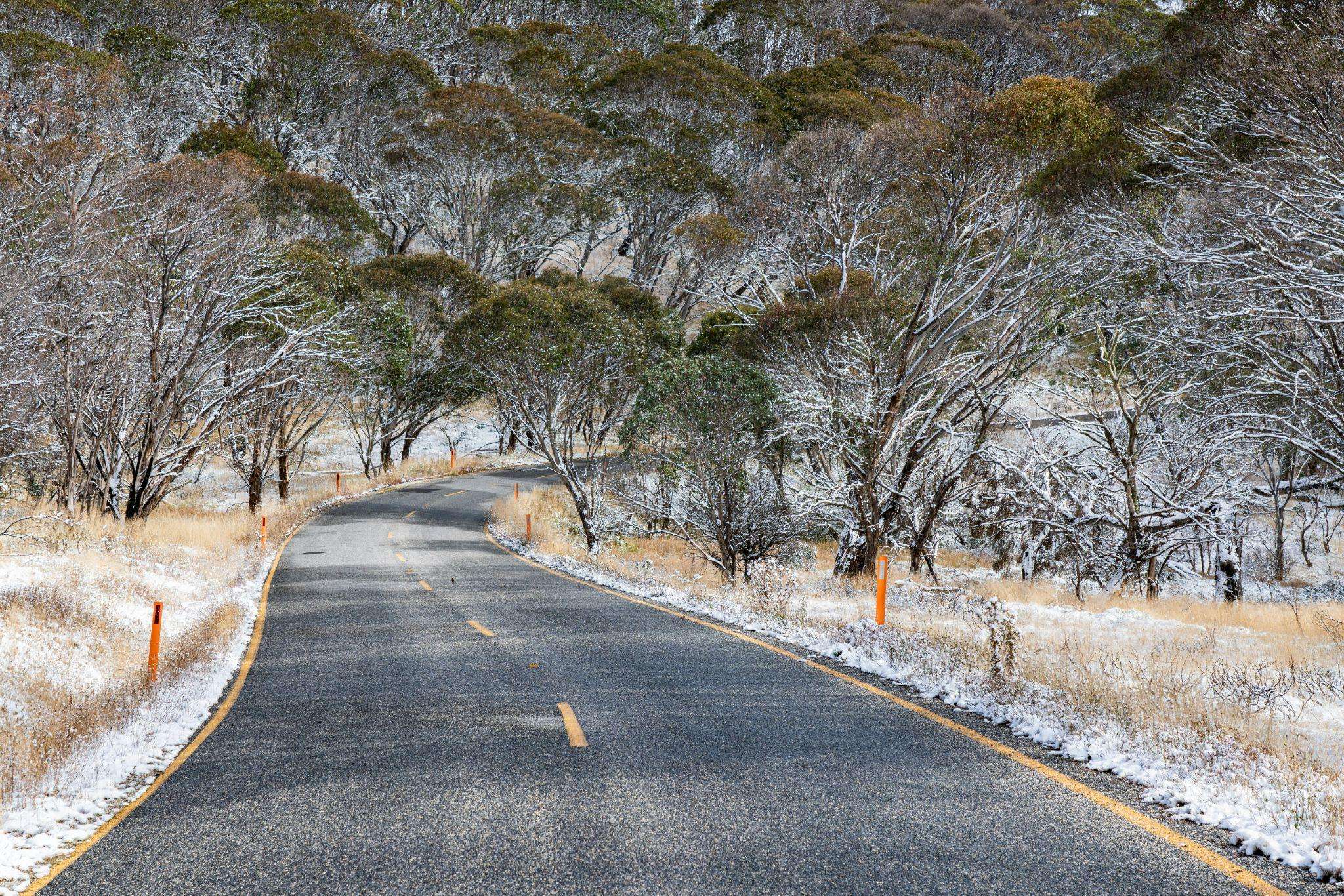 Everything You Need to Know Before Driving in Australia 3 Everything You Need to Know Before Driving in Australia 3