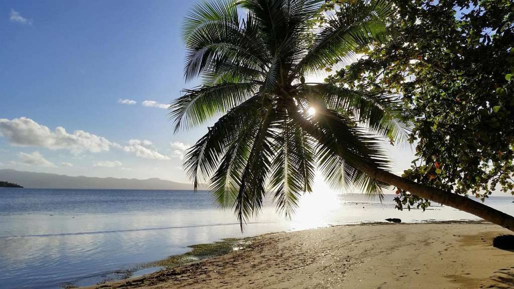 Top Reasons to Go to Fiji This Summer – A Brief Guide 3 Top Reasons to Go to Fiji This Summer – A Brief Guide 3