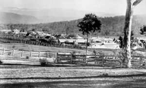 Tas That Was – Fingal 9