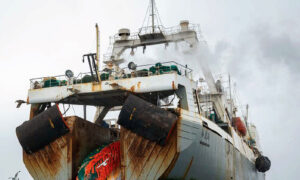 The Unnecessary Plunder of Antarctica's Keystone Species 7