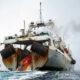 The Unnecessary Plunder of Antarctica's Keystone Species 8