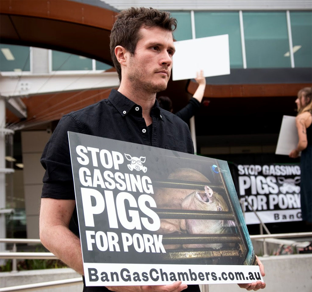 Landmark Ruling Silences Animal Cruelty Whistleblowers 5