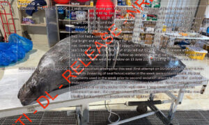 Industry's Brutal Reality - ASC's Standards Questioned 8