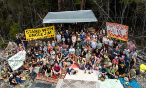 Activists in Court Over Forest Protection 3