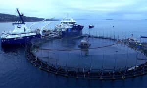 Rockliff Proposes an Independent Review, Pauses Salmon Expansion 8