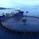 Rockliff Proposes an Independent Review, Pauses Salmon Expansion 9
