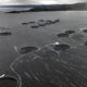 New Legislation to be Challenged After Minister's Decision on Macquarie Harbour 5