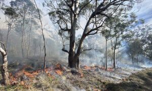 Fighting Fire with Science for Safer Communities 11
