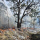Fighting Fire with Science for Safer Communities 12