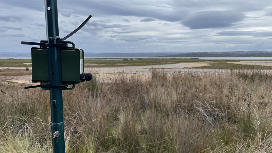 Citizen Scientists Help Listen for Endangered Curlew Calls 7 Citizen Scientists Help Listen for Endangered Curlew Calls 7