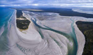 Robbins Island Wind Farm Approved with Varied Reactions 4