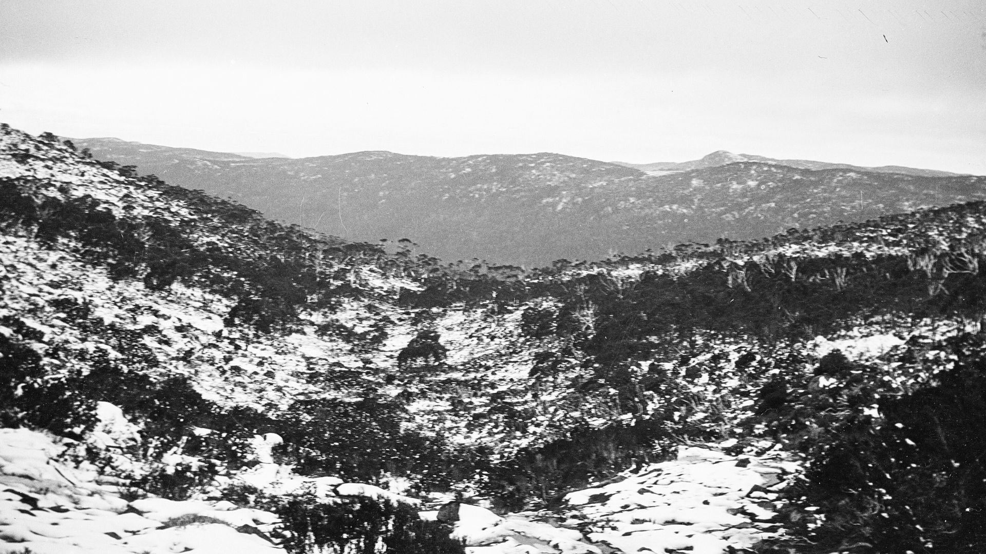 Tas That Was – Mount Field National Park 1