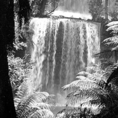 Tas That Was – Mount Field National Park 2 Tas That Was – Mount Field National Park 2