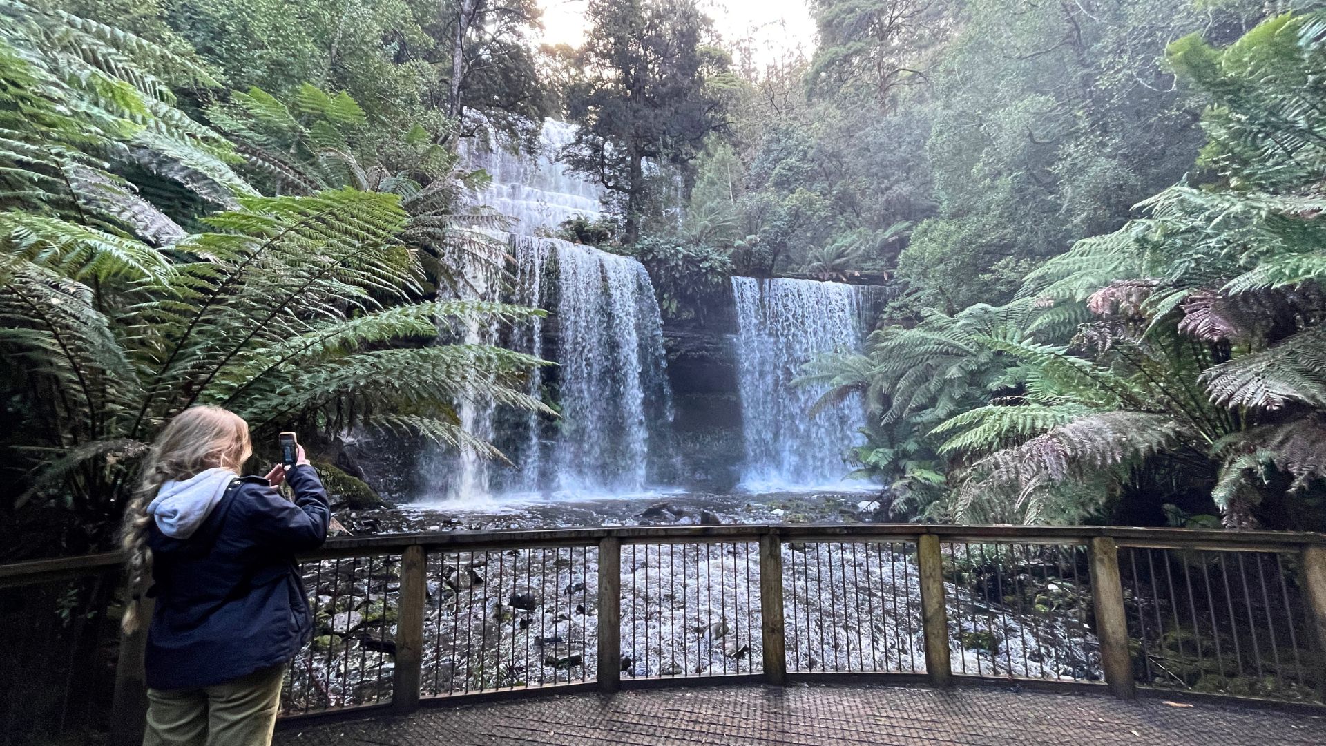 Tas That Was – Mount Field National Park 5 Tas That Was – Mount Field National Park 5
