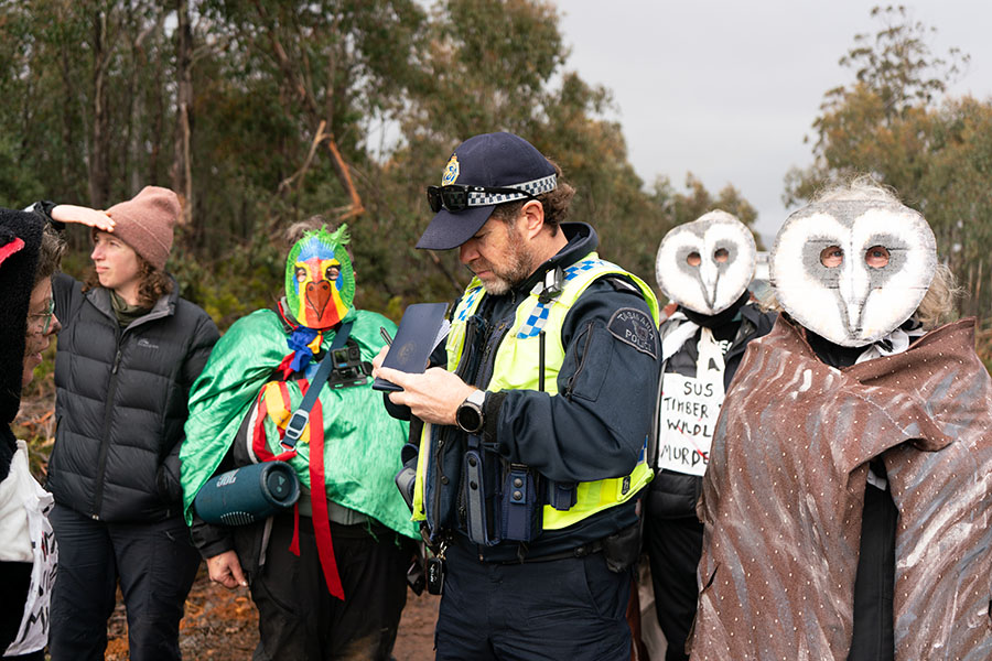Activists Take a Stand Against Forest Logging 8