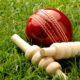 The Roof is Out - Rockliff Faces Financial Cricket Wicket 13
