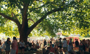 Grinspoon and Mauboy Headline Festivale 2026 18