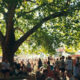 Grinspoon and Mauboy Headline Festivale 2026 19