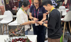 Turbulent Trade Times Challenge Fruit Industry 6