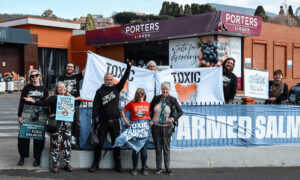 Protests Target Grocer Over Farmed Salmon 31