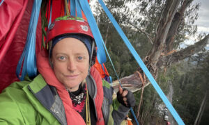 Activists Take a Stand Against Forest Logging 7