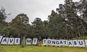 Supreme Court Permanently Stops Logging on Mt Tongatabu 5