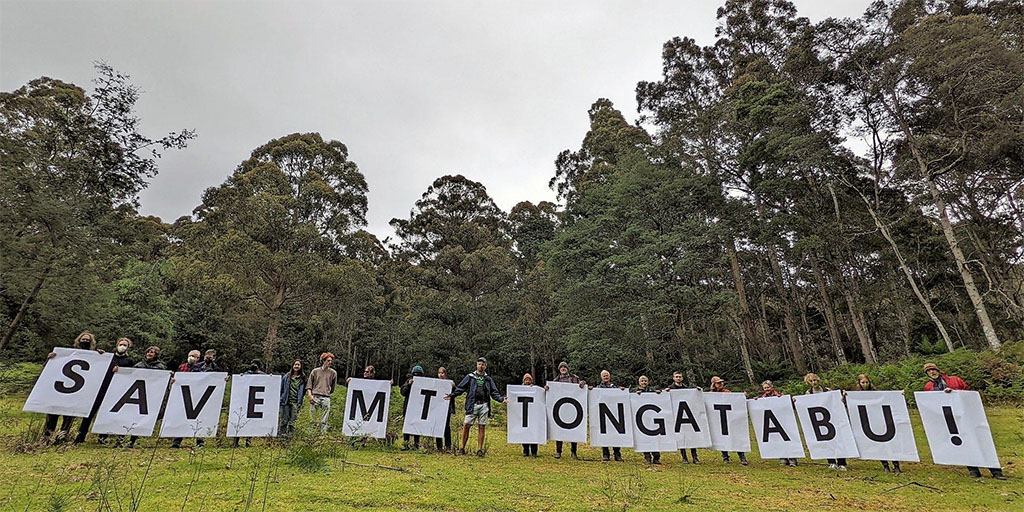 Supreme Court Permanently Stops Logging on Mt Tongatabu 3