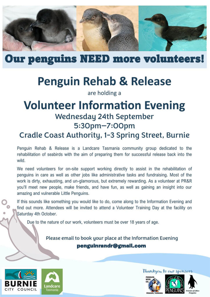 Dirty Jobs, Big Hearts - Help Save Little Penguins 4