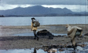 The Original Lake Pedder - A 1956 Southwest Expedition 4