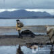 The Original Lake Pedder - A 1956 Southwest Expedition 5