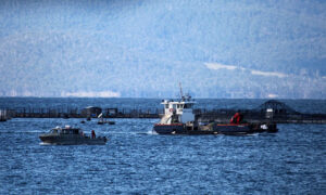 Groups Reject Salmon Review, Demand Removal of Fish Farms 8