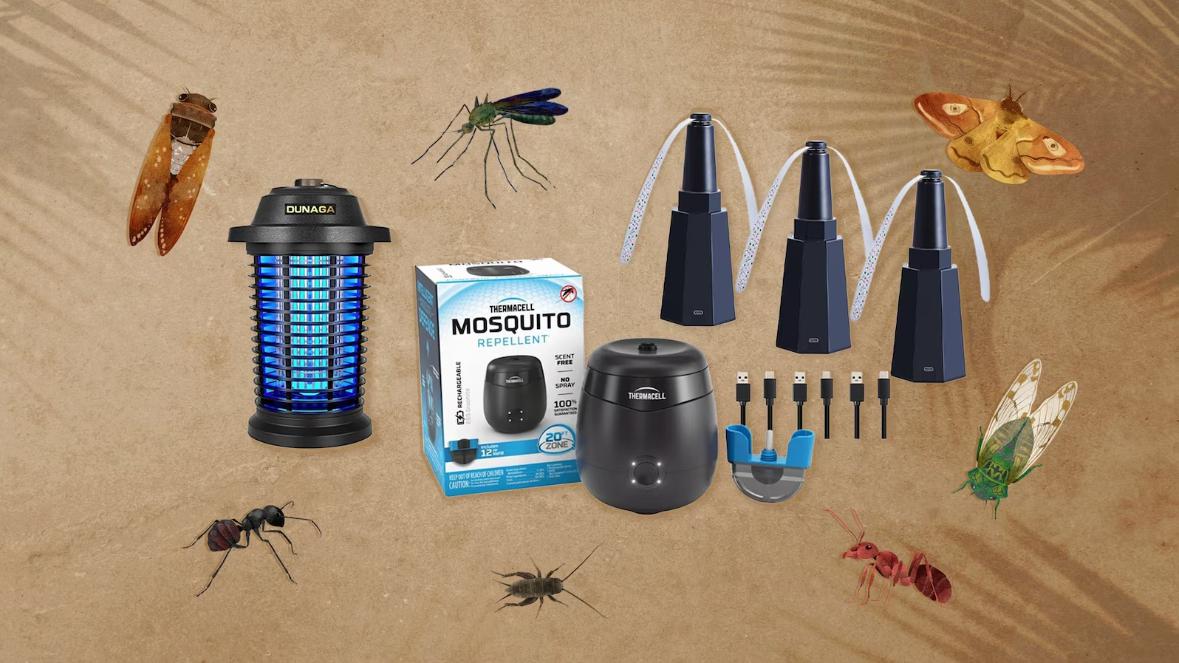 How to Choose the Best Insect Trap for Different Areas of Your Home 5 How to Choose the Best Insect Trap for Different Areas of Your Home 5