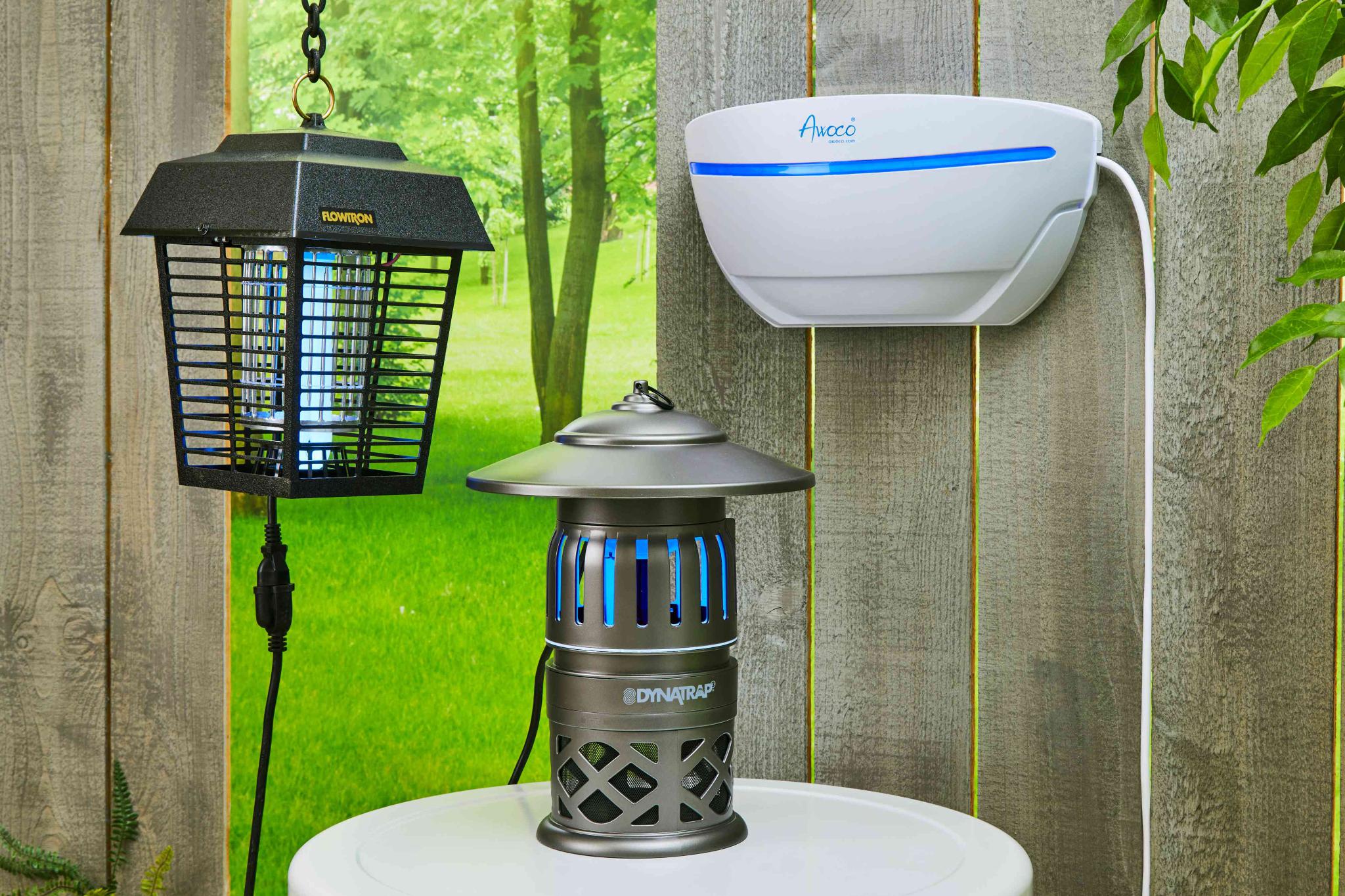 How to Choose the Best Insect Trap for Different Areas of Your Home 6 How to Choose the Best Insect Trap for Different Areas of Your Home 6