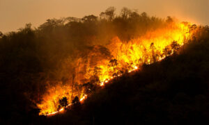 Bushfire Agencies Urge Residents to Prepare Now 11