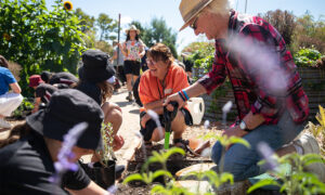 School Garden Program Wins National Design Award 4