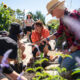 School Garden Program Wins National Design Award 5