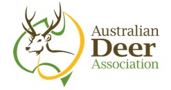 Deer Debate Rages as Population Skyrockets 17