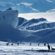 Global Leaders Unite to Protect Ross Sea 7
