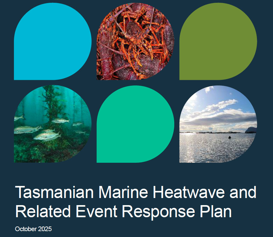 Salmon Industry Absent From Skate Heatwave Risk Plan 3