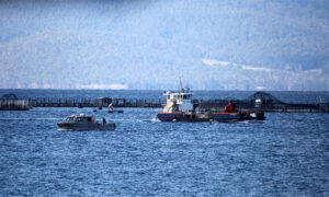 Smoking Gun - RTI Documents Expose Salmon Cover-Up 22