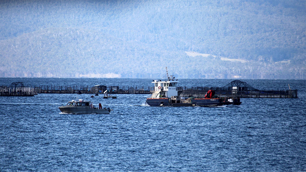 Smoking Gun - RTI Documents Expose Salmon Cover-Up 1