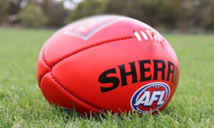 Cross-Party Victory - AFL Agrees to Stadium Meeting 1