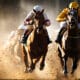 Chief Steward Dismissed - Racing Reforms Deliver 10