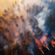 Total Fire Ban for Southern Tasmania as Northern Permits Suspended 7